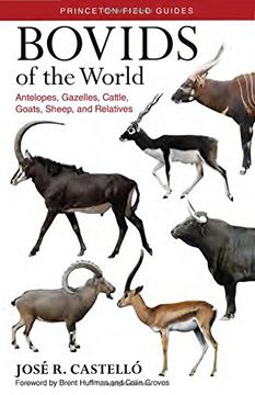 portada Bovids of the World: Antelopes, Gazelles, Cattle, Goats, Sheep, and Relatives (Princeton Field Guides) (en Inglés)