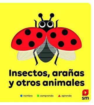 portada Insectos (Nombro, Comprendo y Aprendo) (in Spanish)