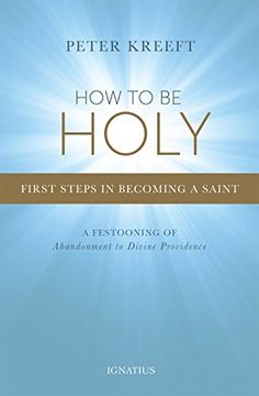 portada How to Be Holy: First Steps in Becoming a Saint (in English)