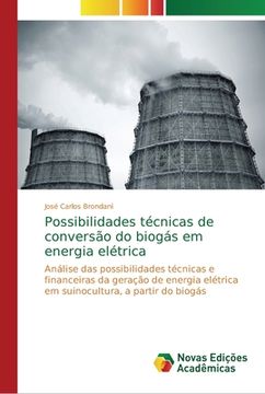 portada Possibilidades técnicas de conversão do biogás em energia elétrica (en Portugués)