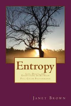 portada Entropy: Life, Death, and Everything In Between Color Edition (en Inglés)