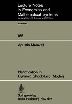 portada identification in dynamic shock-error models (en Inglés)