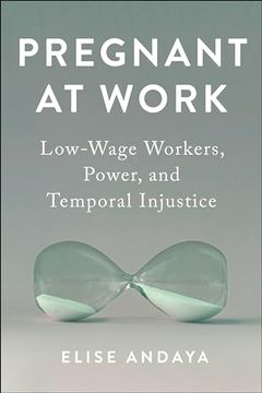 portada Pregnant at Work: Low-Wage Workers, Power, and Temporal Injustice (Anthropologies of American Medicine: Culture, Power, and Practice) (in English)
