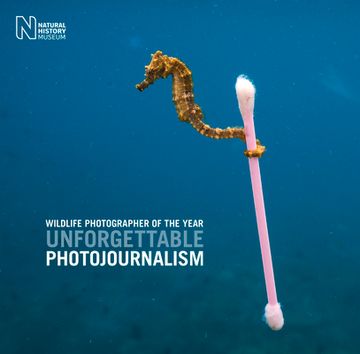 portada Wildlife Photographer of the Year: Unforgettable Photojournalism (en Inglés)