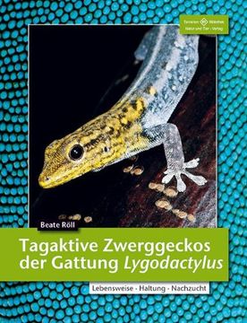 portada Tagaktive Zweggeckos der Gattung Lygodactylus: Lebensweise, Haltung, Nachzucht (en Alemán)
