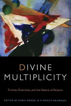 portada Divine Multiplicity: Trinities, Diversities, and the Nature of Relation (Transdisciplinary Theological Colloquia) (en Inglés)