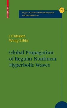 portada Global Propagation of Regular Nonlinear Hyperbolic Waves (Progress in Nonlinear Differential Equations and Their Applications, no. 76 ) 