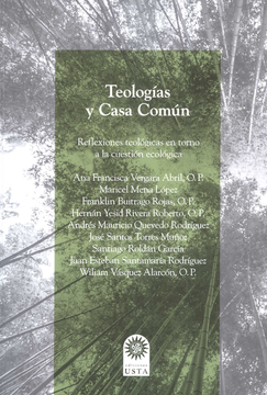 portada TEOLOGIAS Y CASA COMUN REFLEXIONES TEOLOGICAS EN TORNO A LA CUESTION ECOLOGICA (in Spanish)