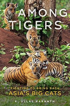 portada Among Tigers: Fighting to Bring Back Asia'S big Cats (en Inglés)