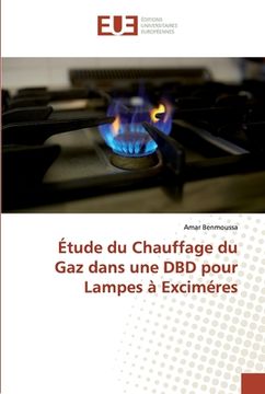 portada Étude du Chauffage du Gaz dans une DBD pour Lampes à Exciméres (en Francés)