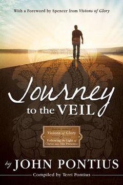 portada Journey to the Veil