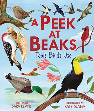 portada A Peek at Beaks: Tools Birds use (en Inglés)