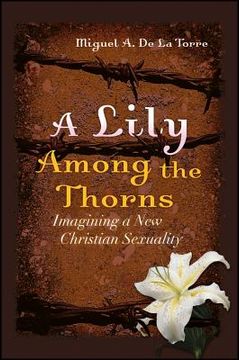 portada a lily among the thorns: imagining a new christian sexuality (in English)
