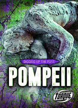 portada Pompeii (Digging up the Past) 
