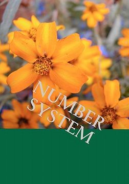 portada number system (in English)