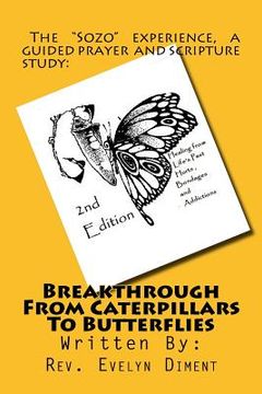 portada Breakthrough From Caterpillars to Butterflies: : Healing from past Hurts, Bondages and Addictions (in English)