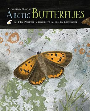portada A Children's Guide to Arctic Butterflies (en Inglés)