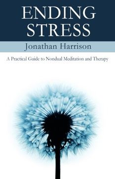 portada Ending Stress: A Practical Guide to Nondual Meditation (Personal Transformation - Spiritual & Mental Healing) (Volume 1)