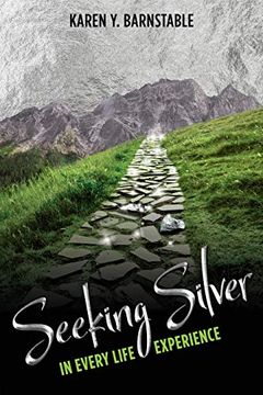 portada Seeking Silver: In Every Life Experience (en Inglés)