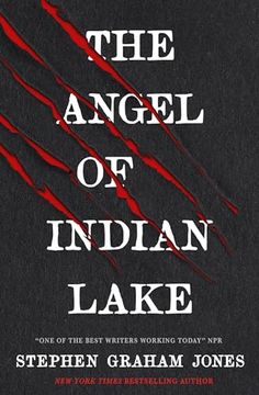 portada The Angel of Indian Lake