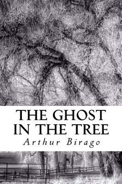portada The Ghost in the Tree: Three Story Fragments (in English)