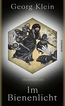 portada Im Bienenlicht: Erzählungen | Ausgezeichnet mit dem Großen Preis des Deutschen Literaturfonds (en Alemán)