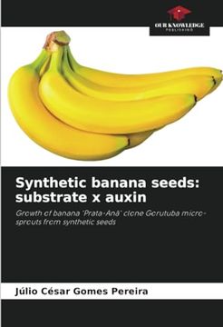 portada Synthetic Banana Seeds: Substrate x Auxin: Growth of Banana 'prata-Anã' Clone Gorutuba Micro-Sprouts From Synthetic Seeds (in English)