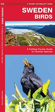 portada Sweden Birds: A Folding Pocket Guide to Familiar Species (Pocket Naturalist Guide) (en Inglés)