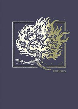 portada Net Abide Bible Journal - Exodus, Paperback, Comfort Print: Holy Bible (en Inglés)
