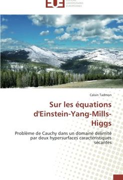 portada Sur les équations d'Einstein-Yang-Mills-Higgs: Problème de Cauchy dans un domaine délimité par deux hypersurfaces caractéristiques sécantes