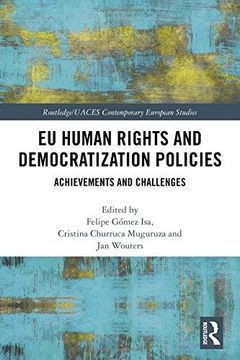 portada EU Human Rights and Democratization Policies: Achievements and Challenges (en Inglés)