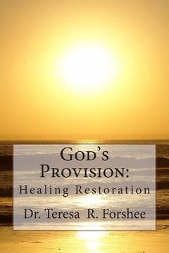 portada God's Provision: Healing Restoration (en Inglés)