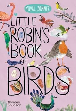 portada Little Robin's Book of Birds (The big Book Series, 16) (en Inglés)
