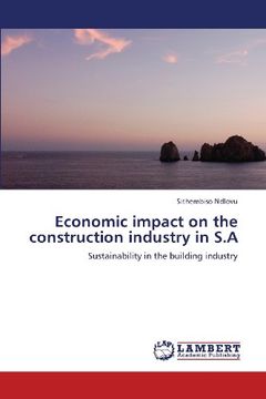 portada Economic Impact on the Construction Industry in S.a