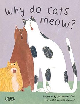portada Why do Cats Meow?  Curious Questions About Your Favorite Pets