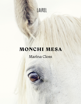 portada Monchi Mesa (in Spanish)