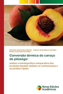 portada Conversão Térmica do Caroço de Pêssego: Análise Cromatográfica Comparativa dos Produtos Líquidos Obtidos na Carbonização e na Pirólise Rápida (en Portugués)