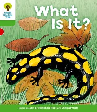portada Oxford Reading Tree: Level 2: More Patterned Stories a: What is it? (in English)