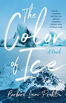portada The Color of Ice: A Novel (in English)