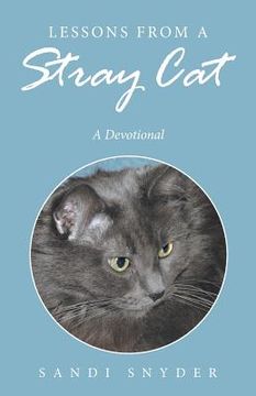 portada Lessons from a Stray Cat: A Devotional (en Inglés)