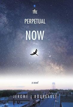 portada The Perpetual now (en Inglés)
