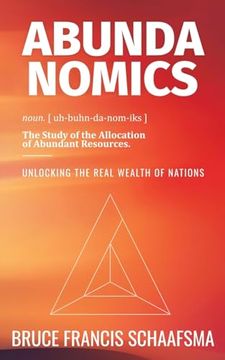 portada Abundanomics – Unlocking the Real Wealth of Nations (en Inglés)