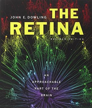 portada The Retina - an Approachable Part of the Brain, Revised Edition (in English)