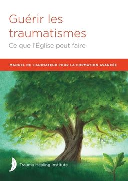 portada Manuel de l'Animateur Pour La Formation Avancée (en Francés)