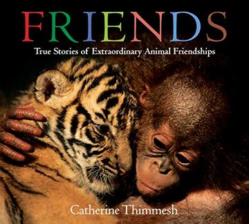 portada Friends (Board Book): True Stories of Extraordinary Animal Friendships (en Inglés)
