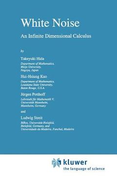 portada white noise: an infinite dimensional calculus (en Inglés)
