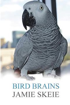 portada Bird Brains (en Inglés)