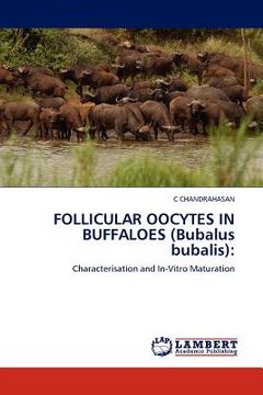 portada follicular oocytes in buffaloes (bubalus bubalis) (en Inglés)
