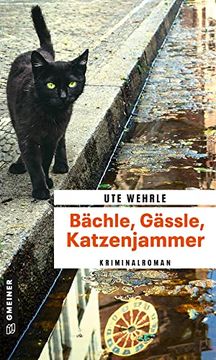 portada Bächle, Gässle, Katzenjammer: Kriminalroman (Journalistin Katharina Müller) (Kriminalromane im Gmeiner-Verlag) (en Alemán)