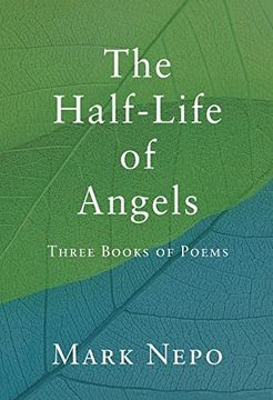 portada The Half-Life of Angels 